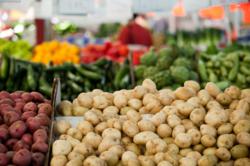 Palm Springs Certified Farmer’s Markets